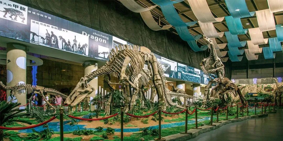 中国十大恐龙图鉴,100种恐龙名字图鉴图文