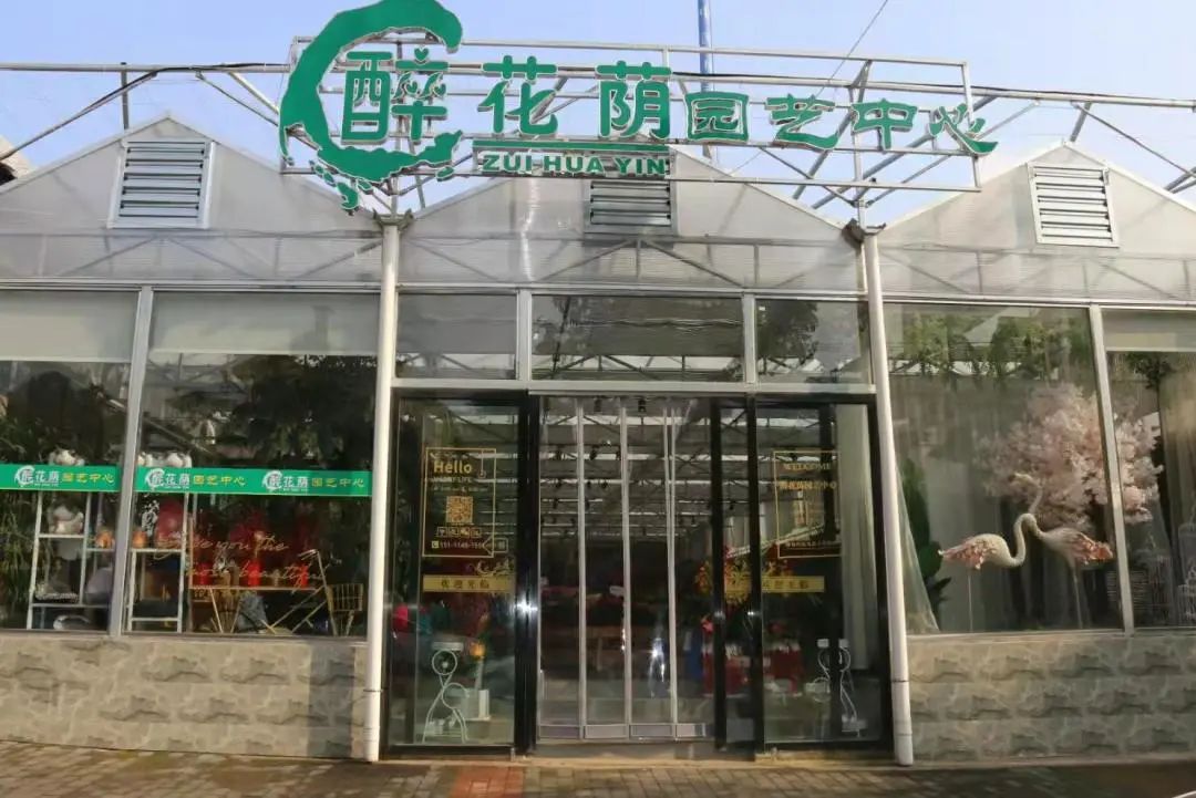 湖南“花二代”开园艺中心，线上一天卖花12万盆，年营业额超2000万元