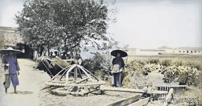 23张活久见的老照片让人大开眼界,十五张罕见照片神奇而有趣的世界