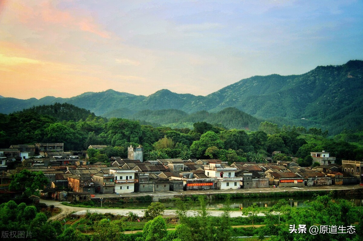 风水文化生态城市建设建议,风水文化生态城市建设