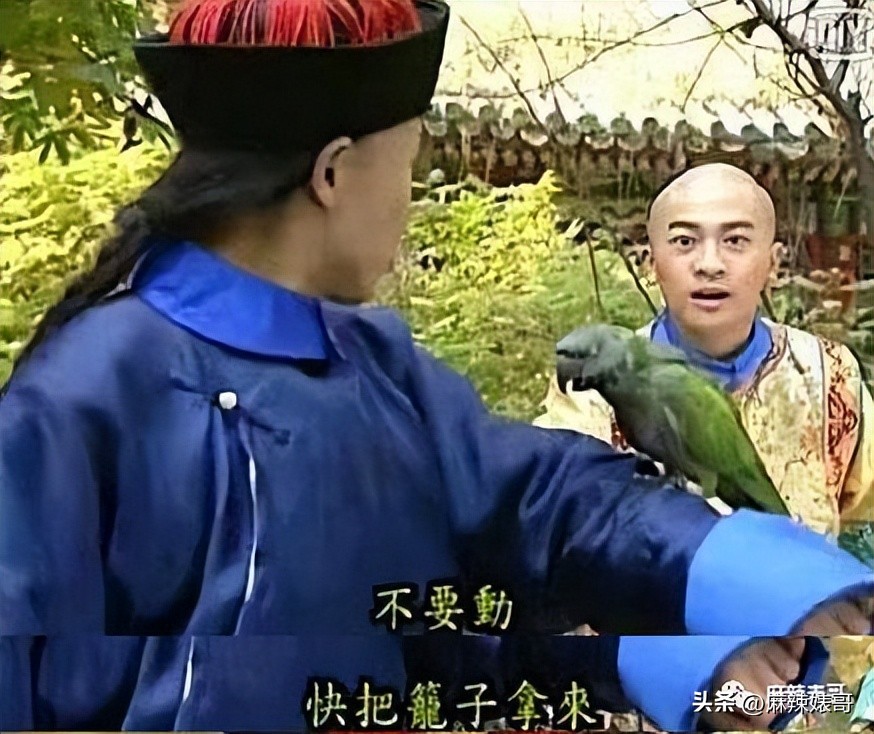 救命啊，这是在*辱侮**谁的智商？