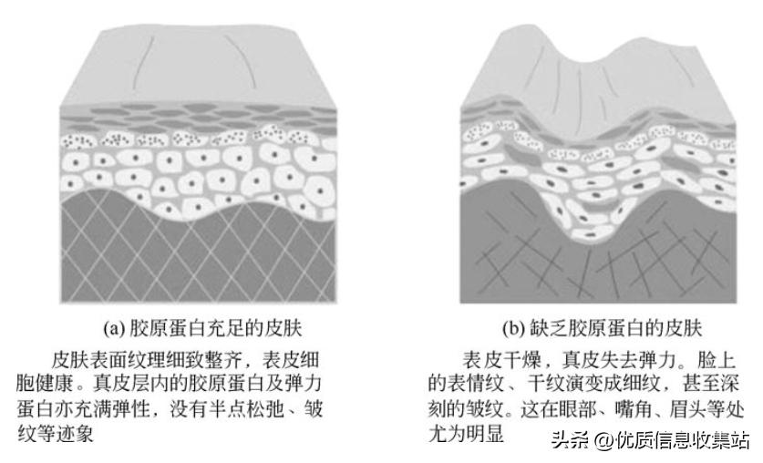 美容书单,美容知识书单