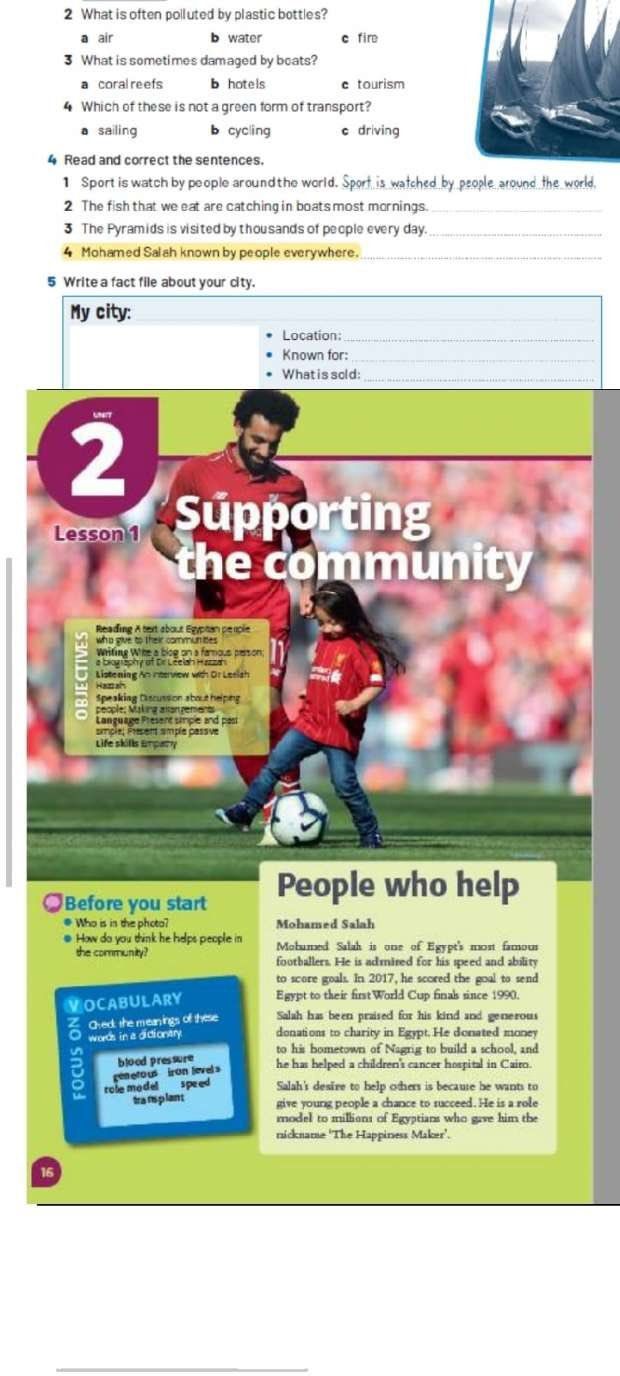 埃及法老王萨拉赫在哪个队,埃及法老萨拉赫有诗