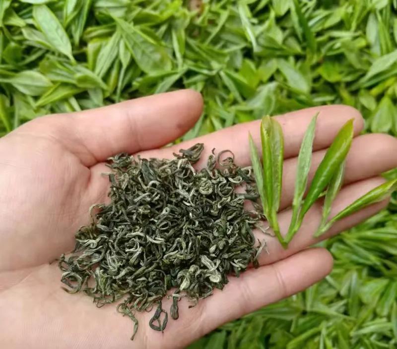中国六大茶中最贵的茶,中国十大最贵的茶排名