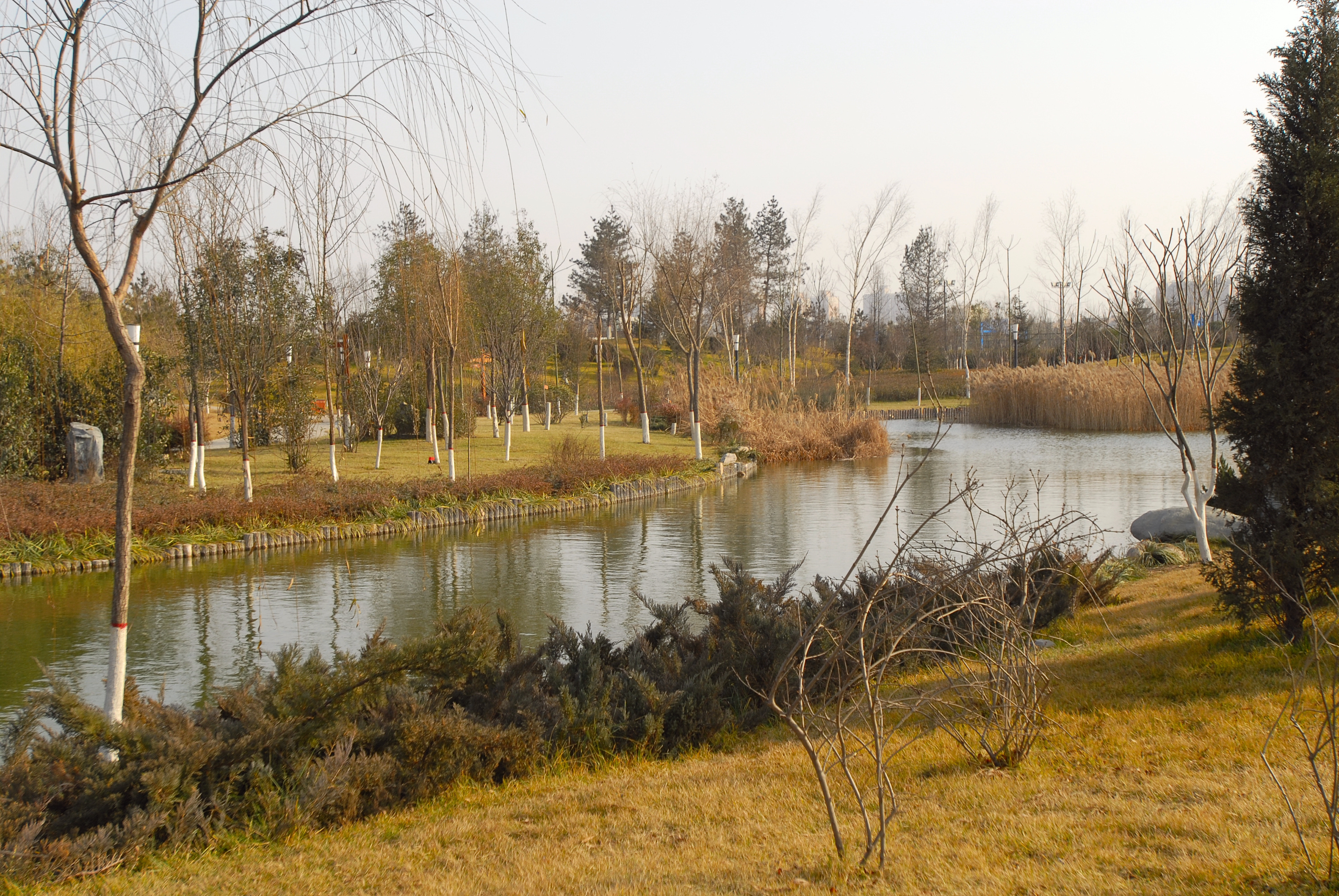 2007年的西安城市运动公园