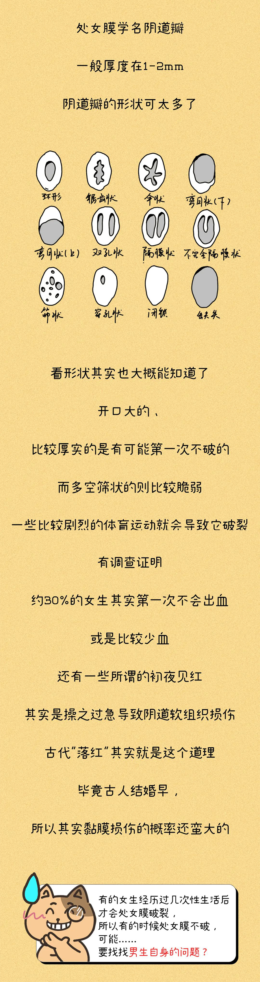 女人的第一次都会流血吗？会不会有例外？一次性科普到位（漫画）