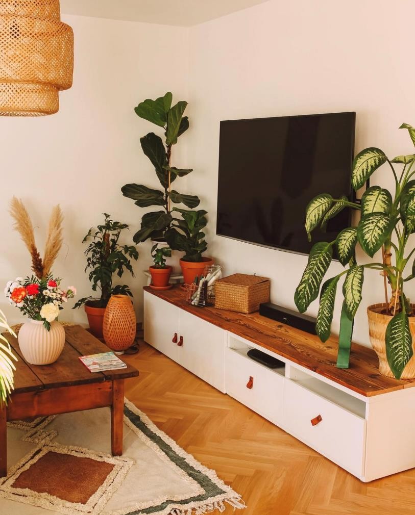 32岁柏林女主的家，没有一件贵重家具，但充满阳光和幸福感，羡慕