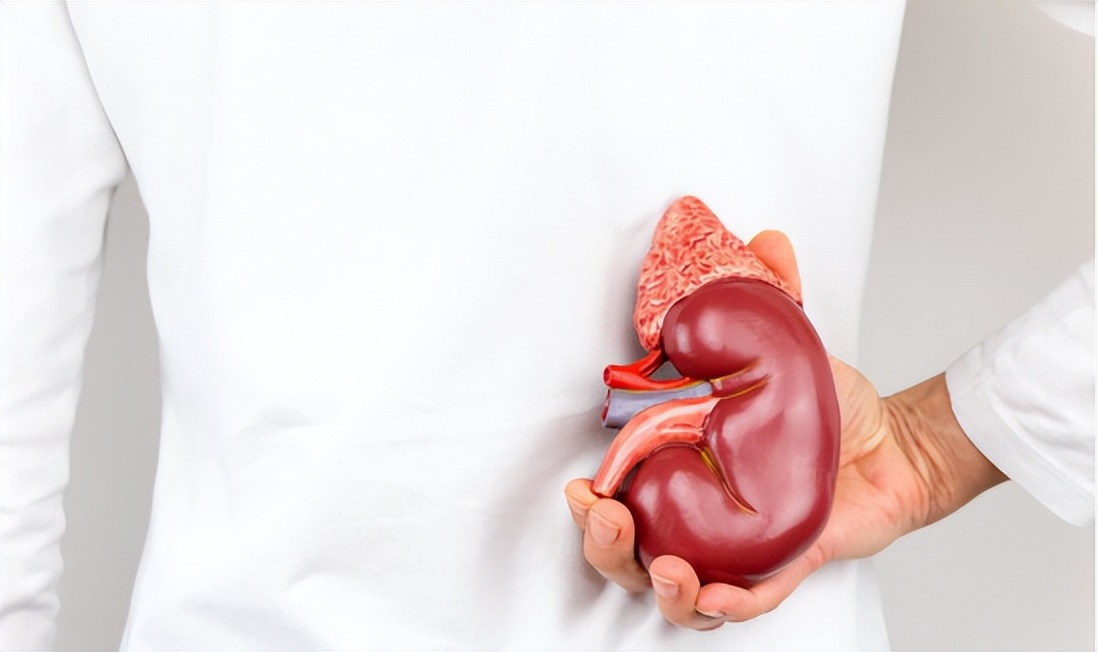 肌酐高就是代谢功能差吗,肾功能肌酐正常尿常规肌酐高