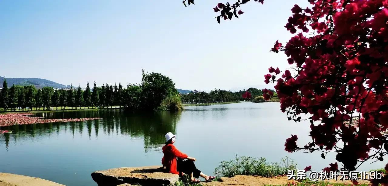 55天云南的孤独之旅,60岁老人拍55天云南的孤独旅行