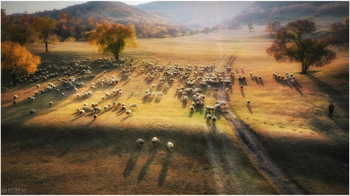 坝上大草原优美的风景,坝上草原迷人秋色