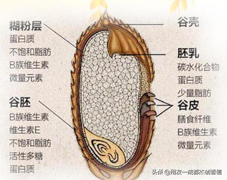 大米加工数字化方案,好生意智能营销