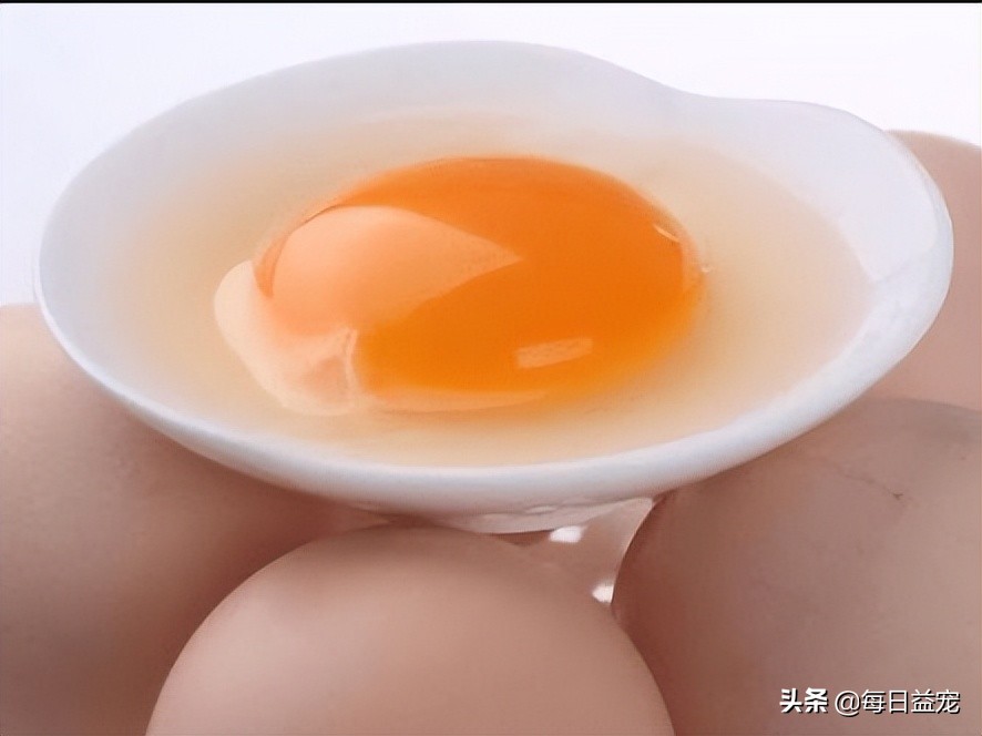 狗狗最爱吃的六种蔬菜,狗狗最爱吃的十种食物