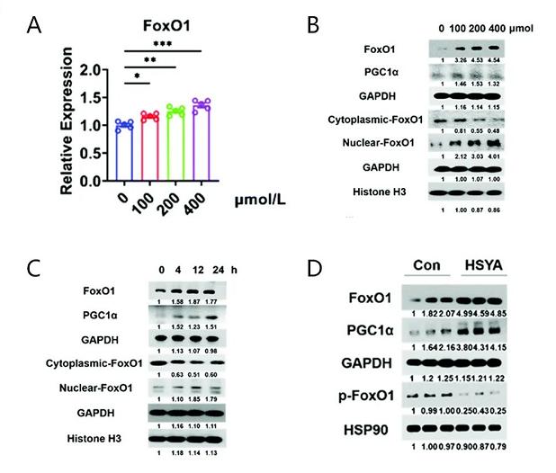 红花油有什么妙用,红花油的成分有红花吗