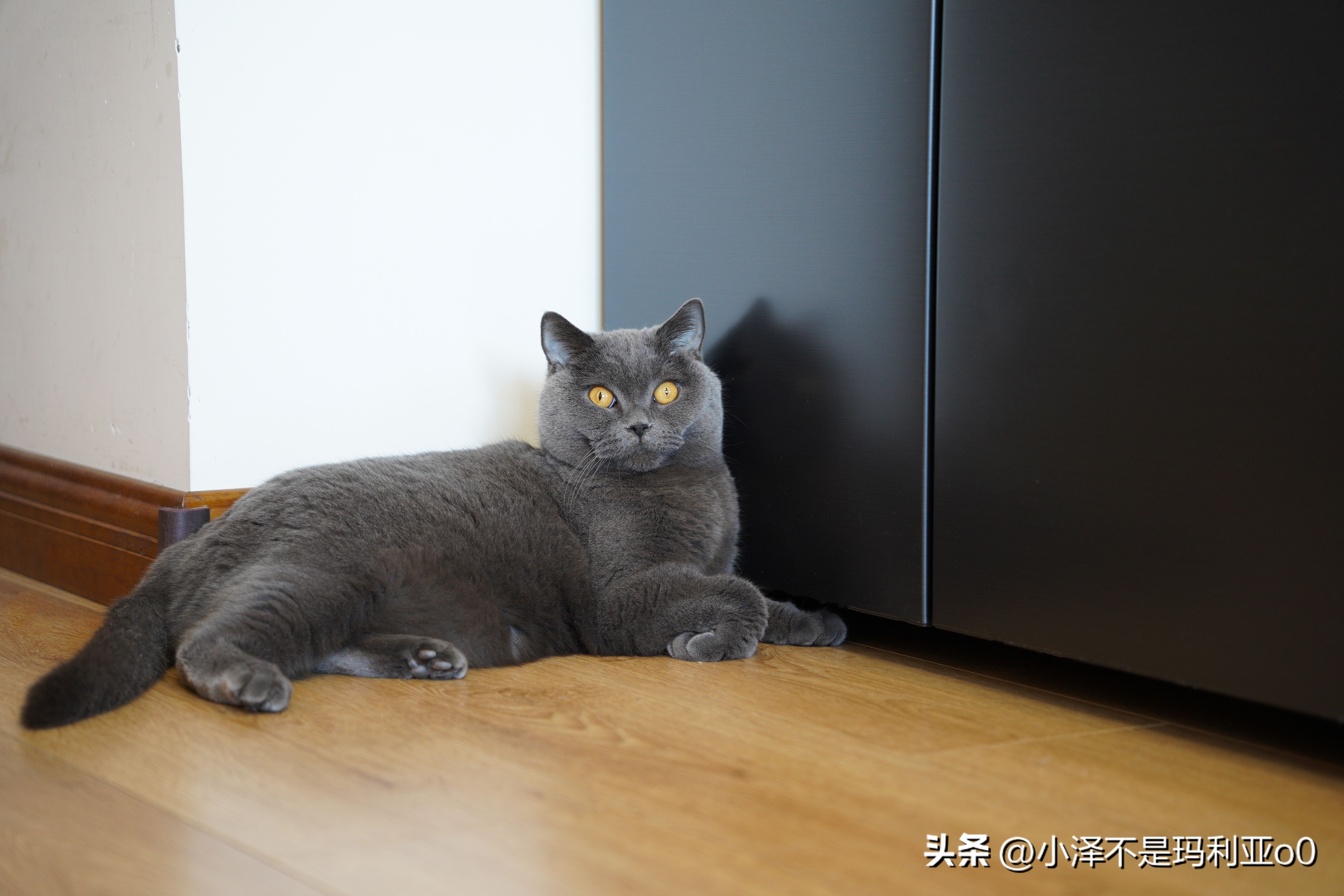 tcl嵌入式超薄t9冰箱尺寸规格,tcl嵌入式t9冰箱装修顶部预留尺寸