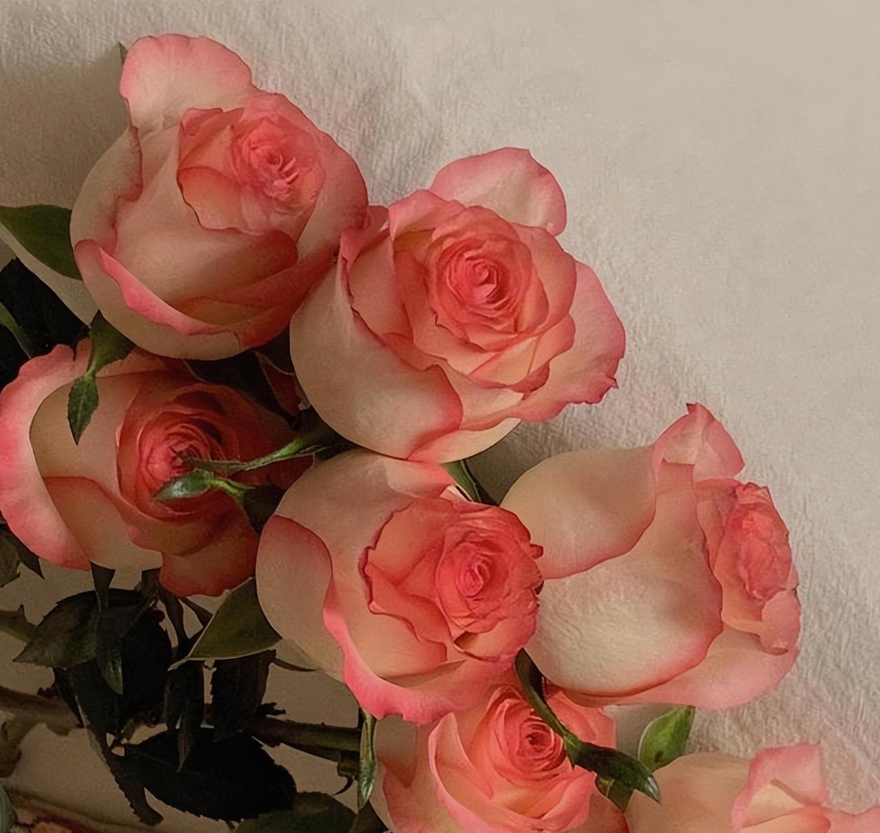 女人想你了的四句话,女人想你了有哪些暗示