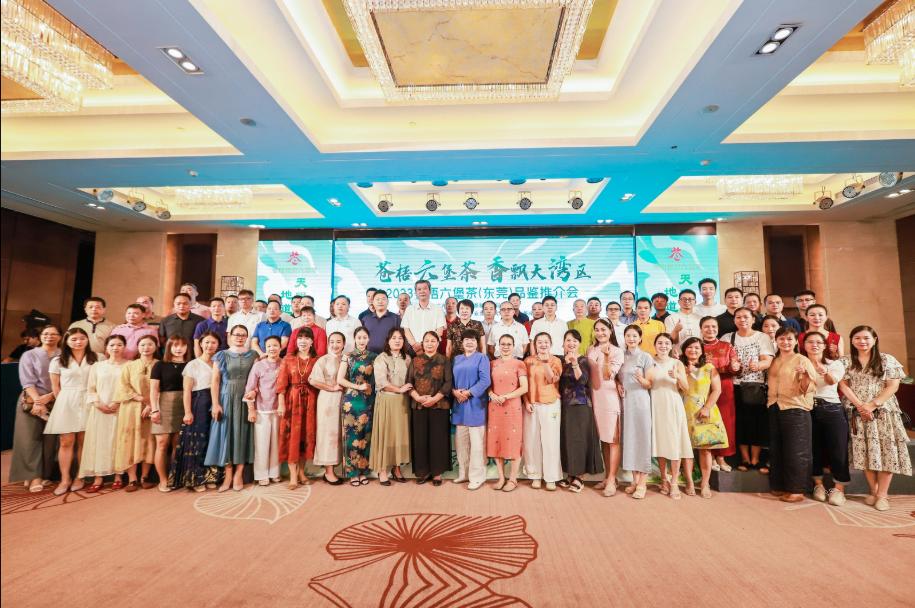 苍梧六堡茶交流会,苍梧六堡茶最新消息