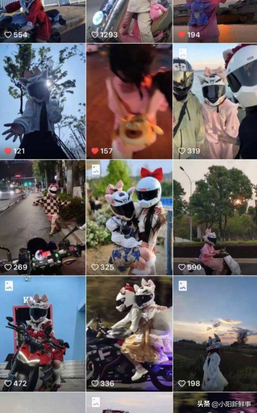 女生骑摩托车撞树身亡,女子骑摩托车超车撞栏杆身亡