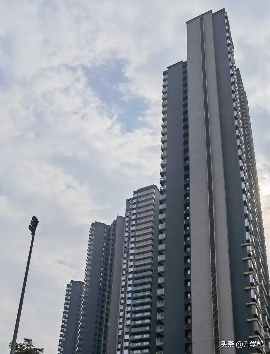 天府新区3所标杆学校,成都天府新区学校有哪些