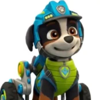 汪汪队立大功狗狗都是什么品种,汪汪队中的11个狗狗品种