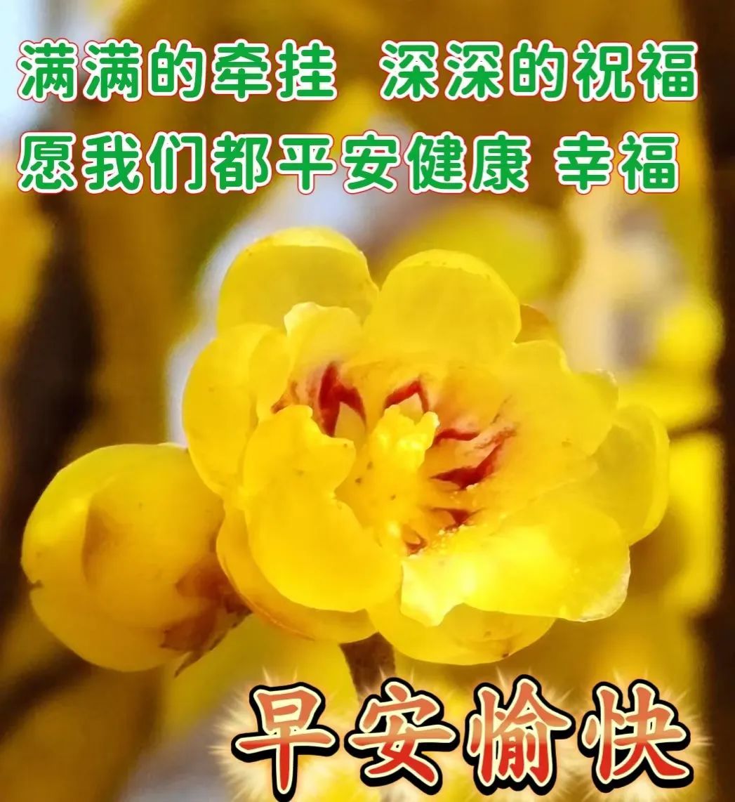 周一早安最暖心的祝福图片图文,最新周一早上好祝福图片