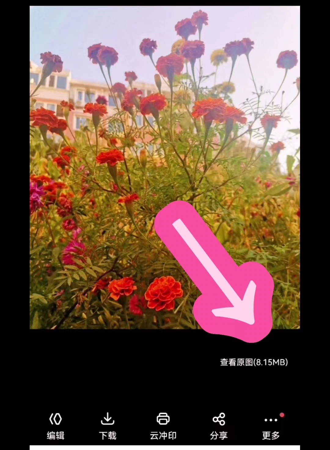 如何查看分秒帧网盘容量,怎么查看网盘