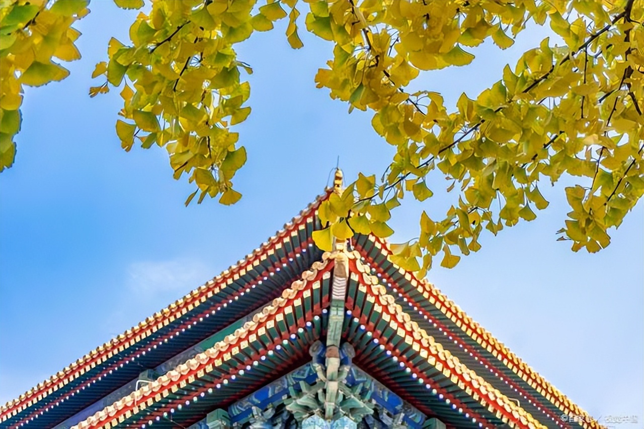 早上发朋友圈励志有正能量的句子,正能量发朋友圈的句子经典励志