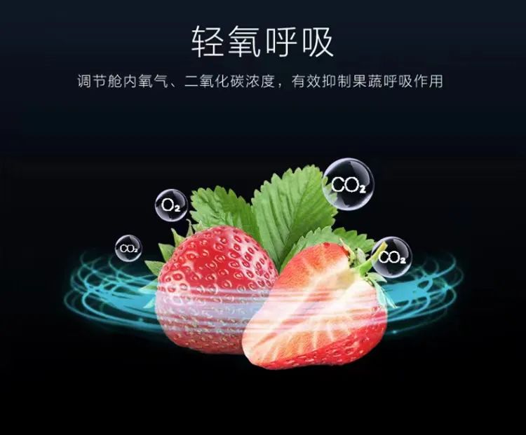 格力晶弘冰箱二级,格力晶弘冰箱原理图