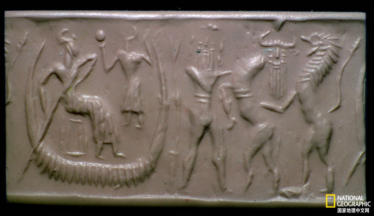 为什么一直找不到诺亚方舟？