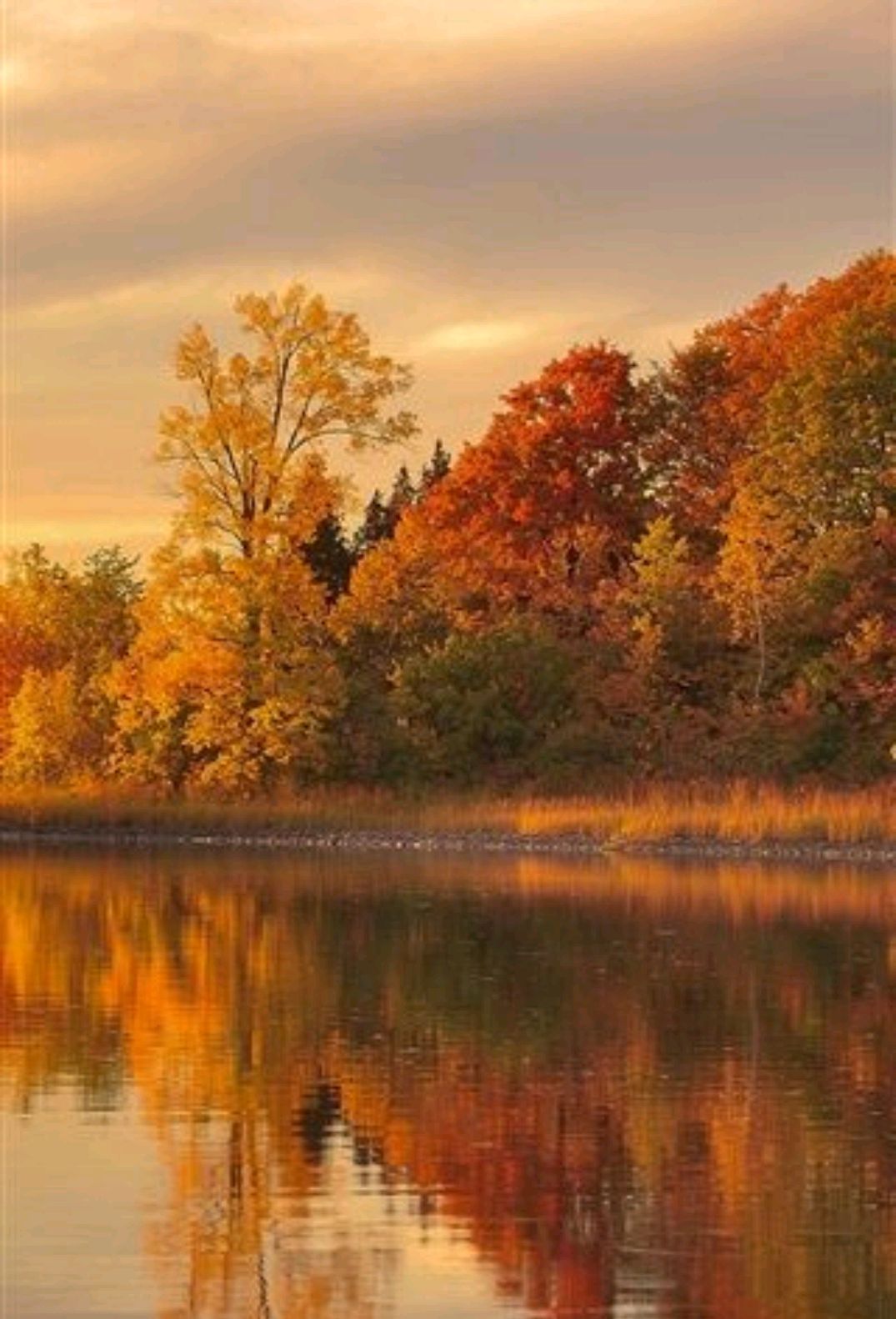 愁是心上秋文案,愁是离人心上秋的下联