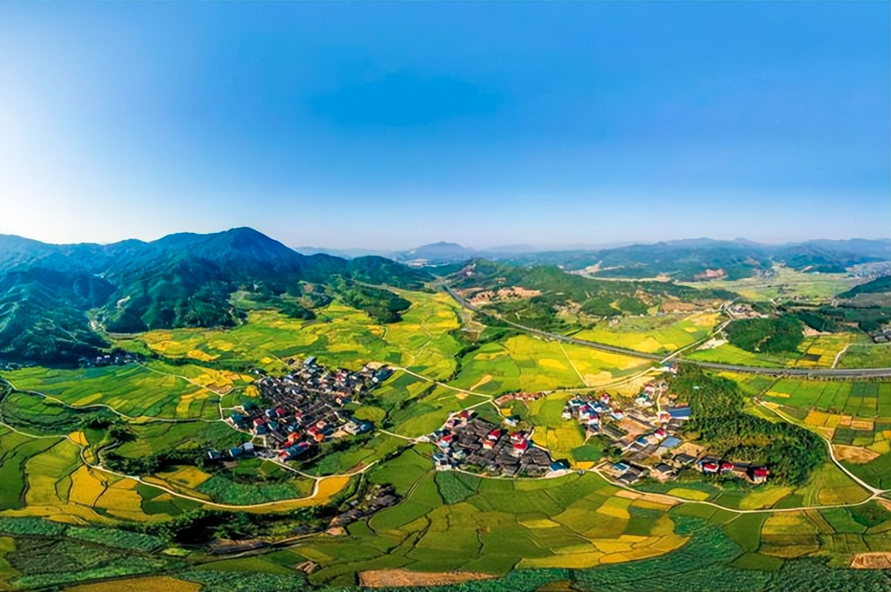 案例剖析！海棠湾薏米如何乡村振兴？品效合一+爆品*局破**