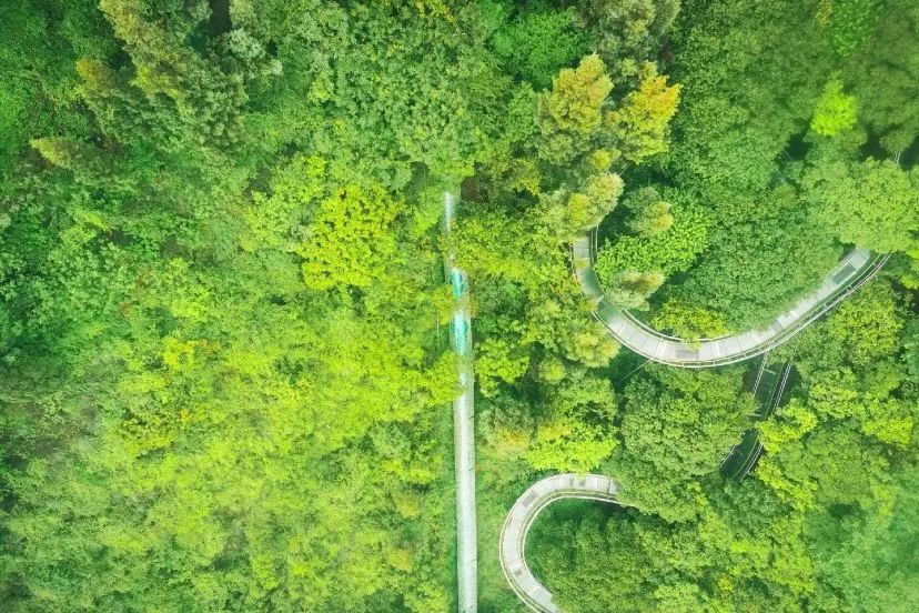 昆明夏季避暑旅游,昆明夏天避暑有哪些地方