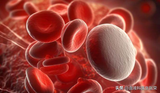 长期输血的病人注意什么,反复多次输血的注意事项