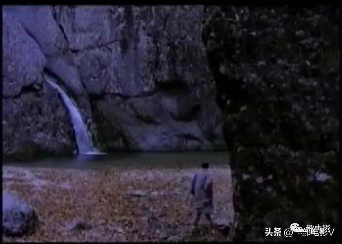 灞卞娈嬭姳,灞卞娈嬭姳楂樻竻