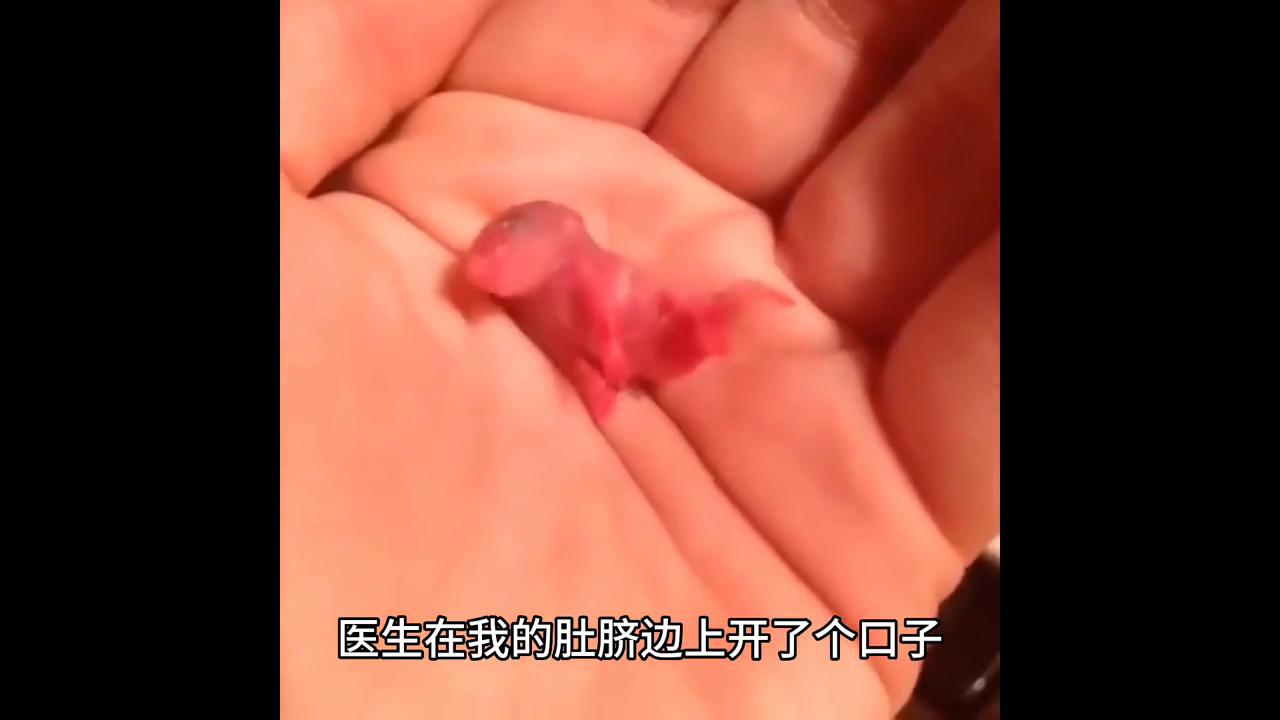 我哥和霸凌我的女人