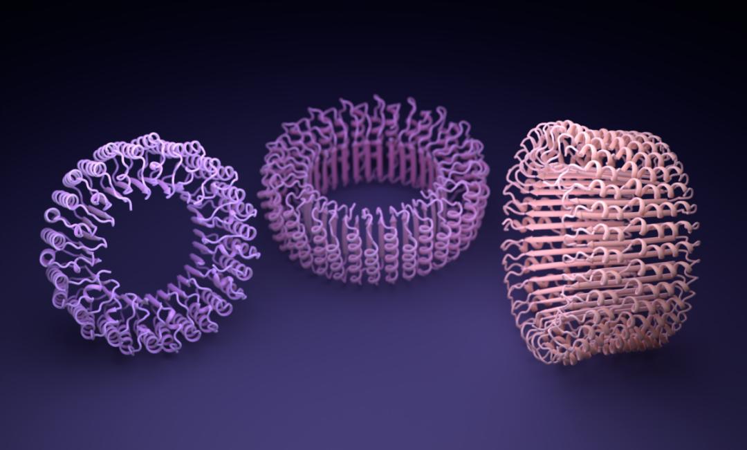 院士评选十大科技进展,两院院士十大科技进展