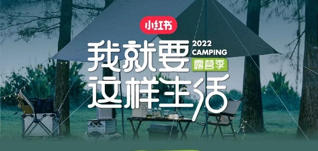 小红书里面的节目,我在看小红书