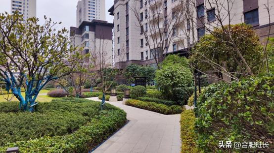 合肥滨湖招商雍华府附近规划,合肥省府中轴招商雍华府