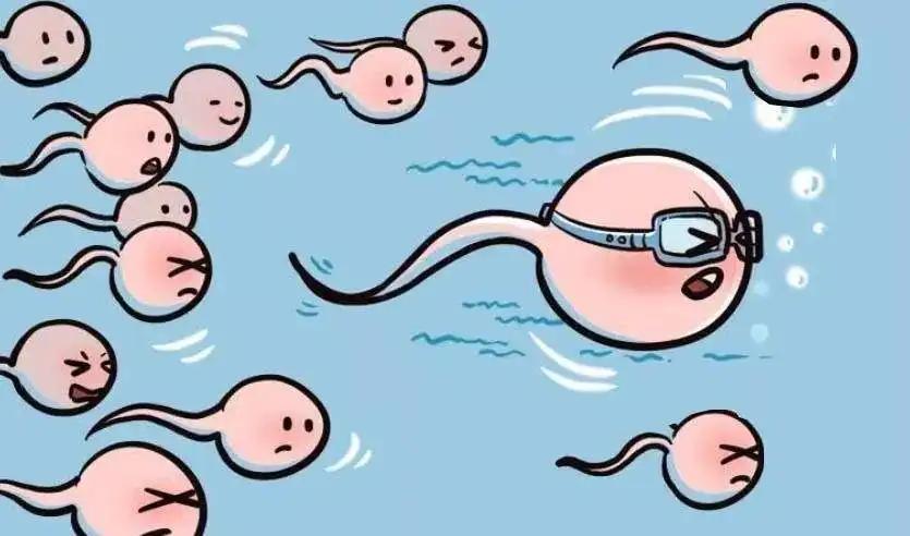 宫腔内人工授精术,疾病科普知识大全