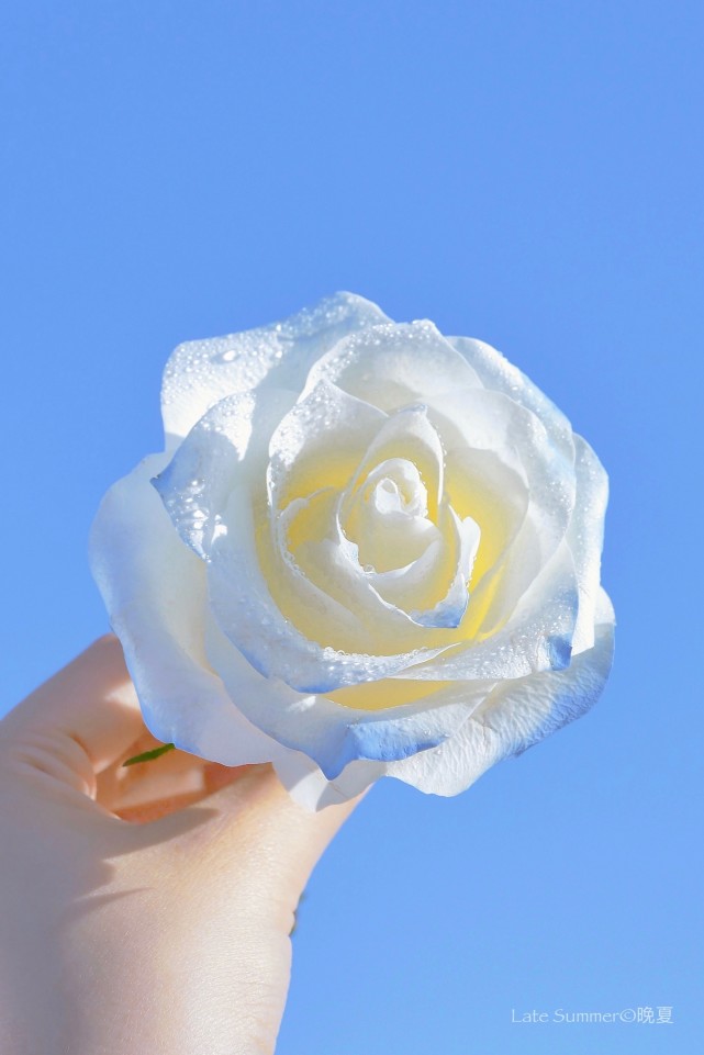 朋友圈最养眼的高级感文案,文艺优美的朋友圈文案简短