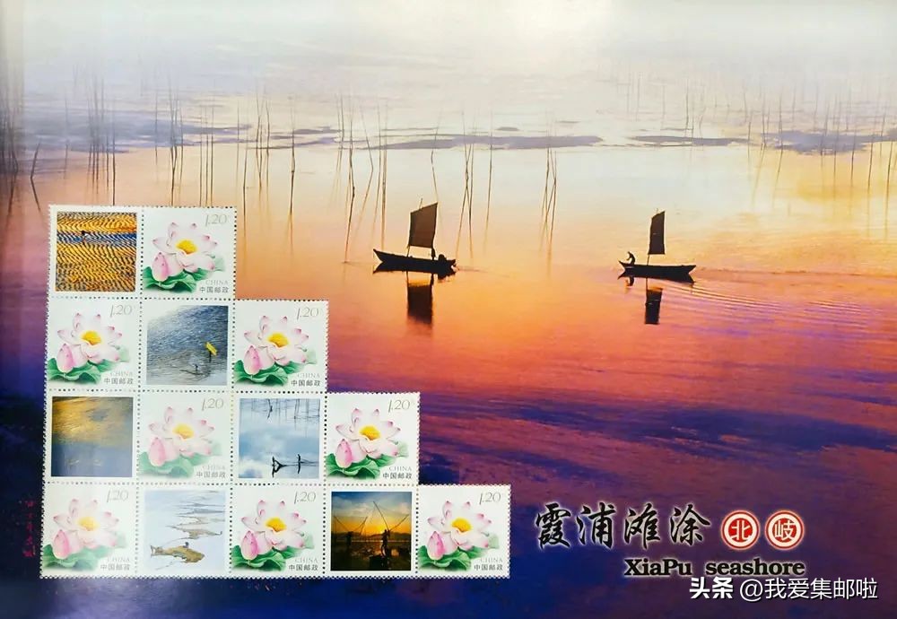 【邮票告诉你】中国海岸长啥样？（三）