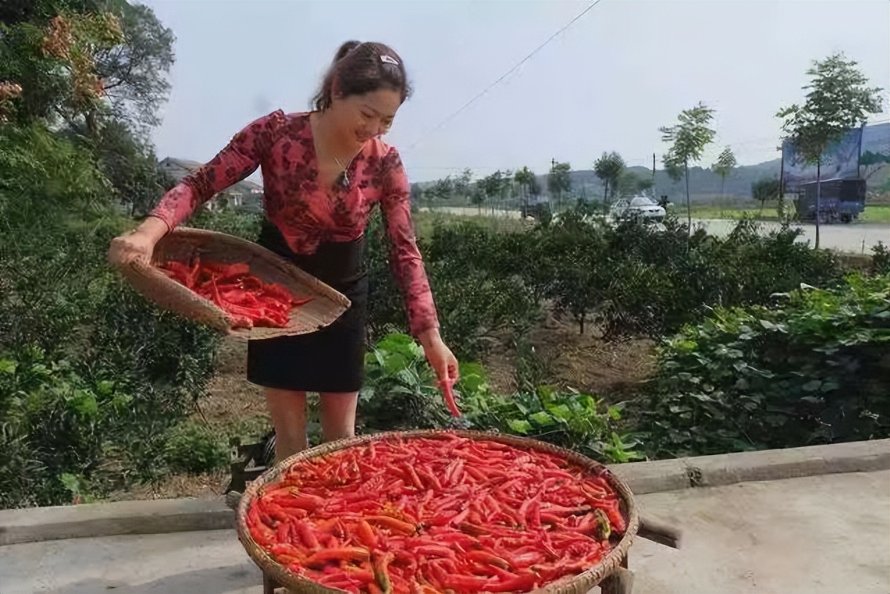 父亲沉迷赌博用1岁女儿抵债,父亲沉迷赌博欠下数百万赌债