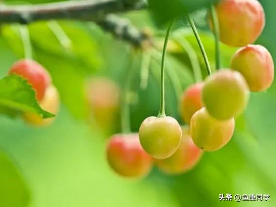 五月九毒日的禁忌,五月九毒日禁忌有科学道理吗