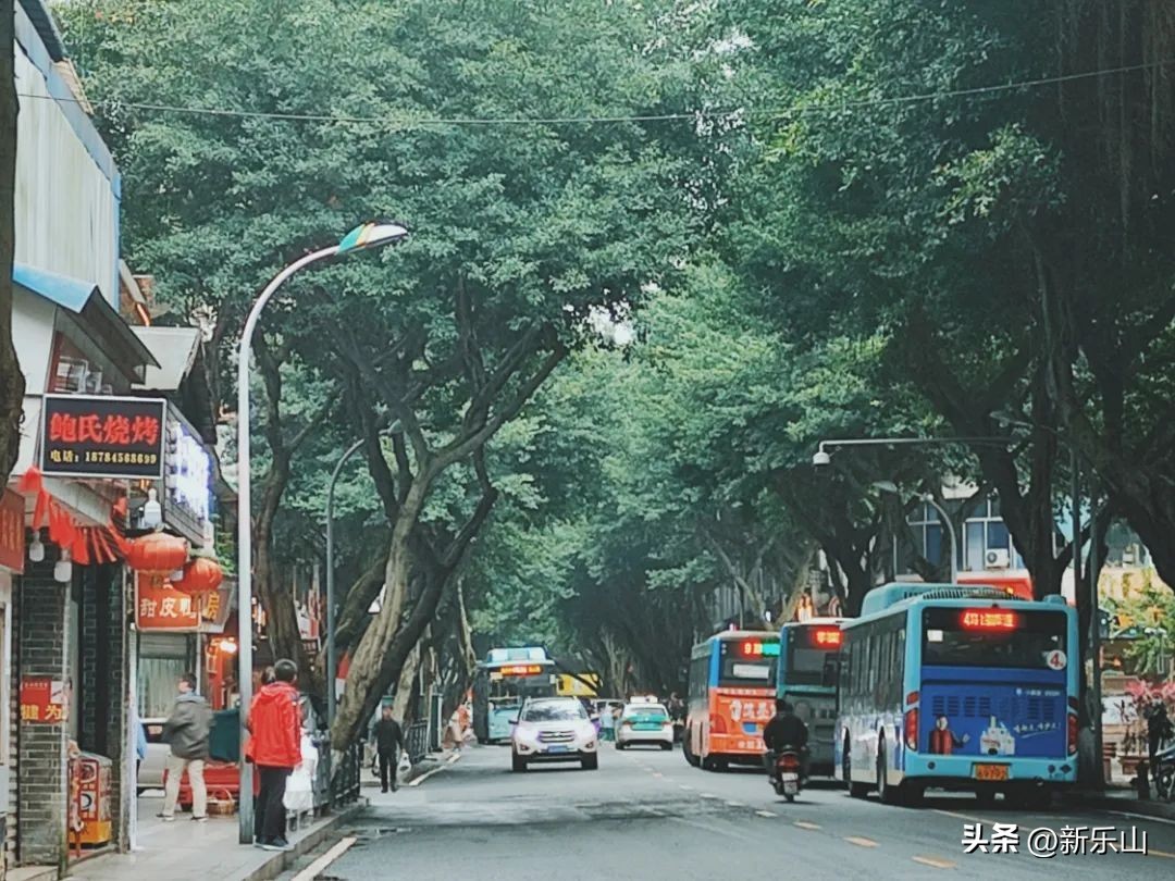 “特种兵式”旅游火了！赶紧收好这份乐山闯关攻略！说走就走→