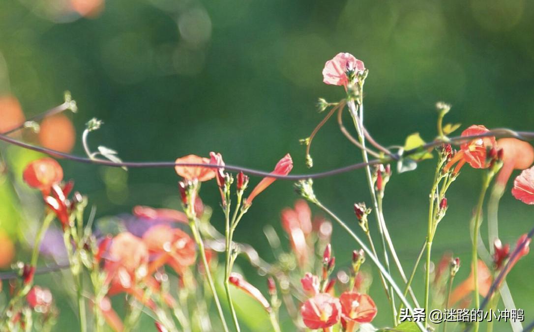 你以为加个班失个恋就人生艰难了？难的还在后边
