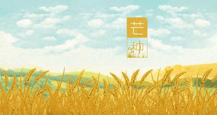 芒种悟人生的诗句,关于芒种的诗句汇集