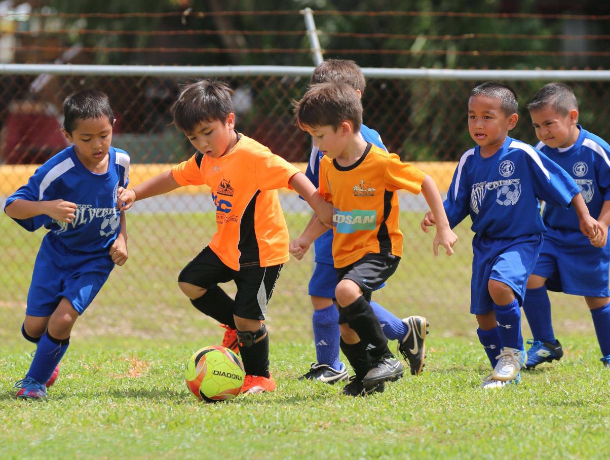从小爱运动的孩子,从小爱运动长大更有运动天赋吗