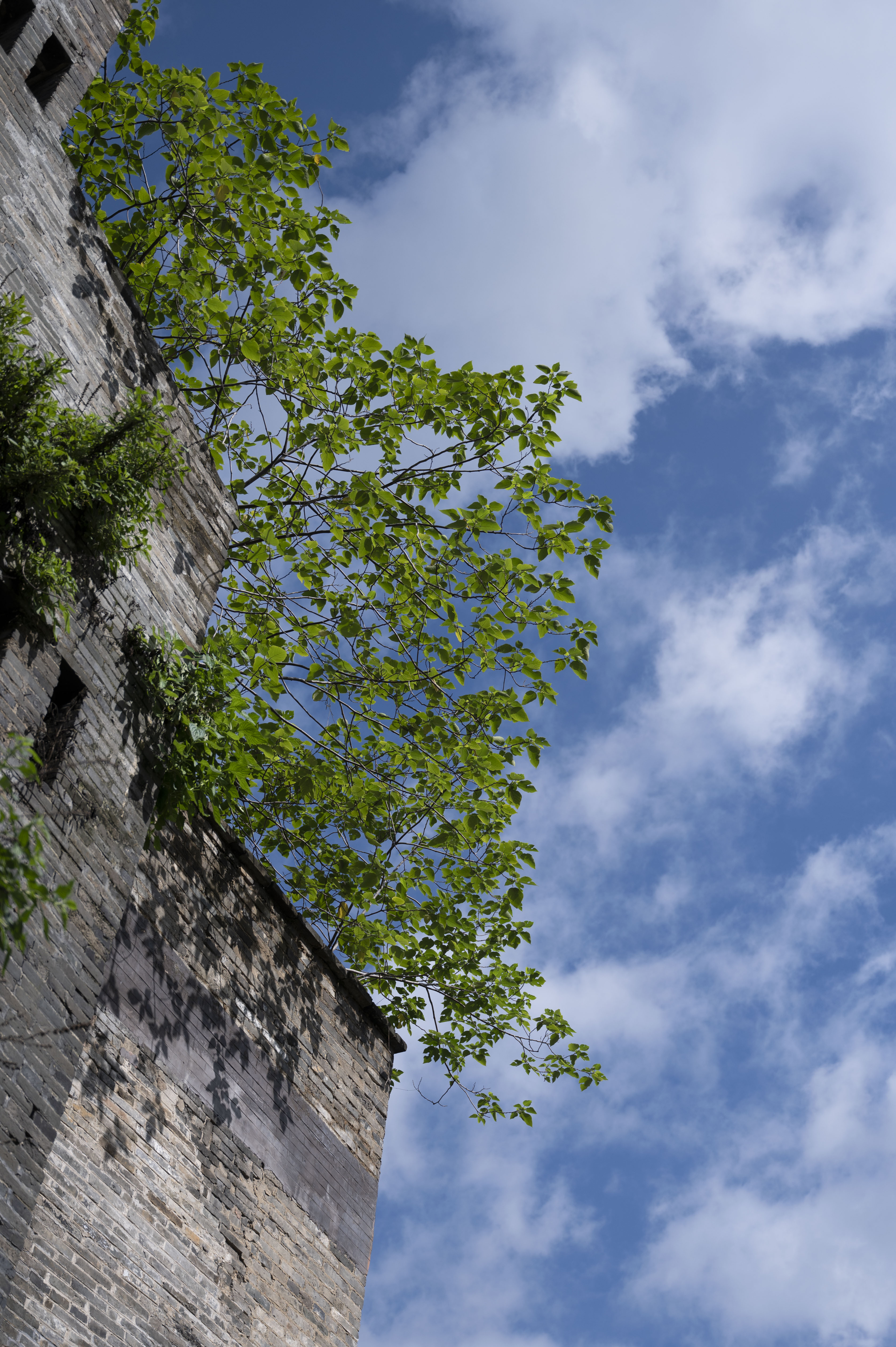 老南宁三街两巷,南宁为什么叫三街两巷