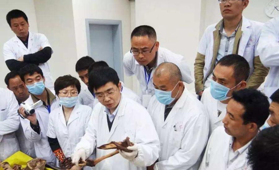 人体标本制作师王耀：一年制作50具标本，从业十几年，却依然恐惧