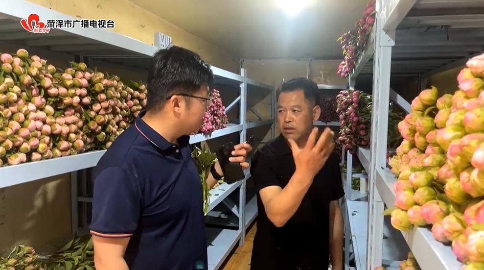 鲜花去哪了？带您在花尽处，又见“花开”