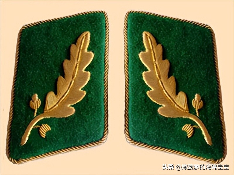 纳粹冲锋队用的什么枪,纳粹德军军衔图解